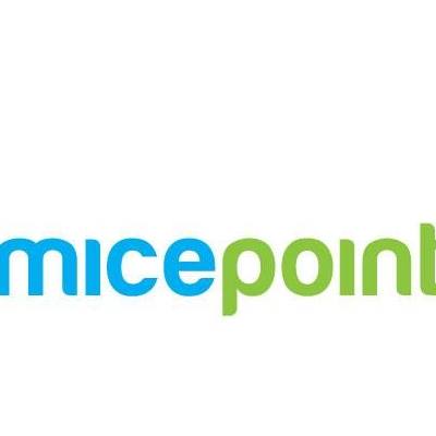 Mice Point